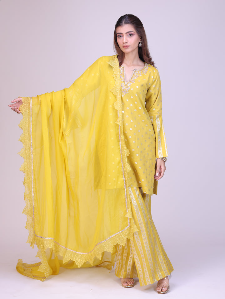 Zehra Kurta sharara set