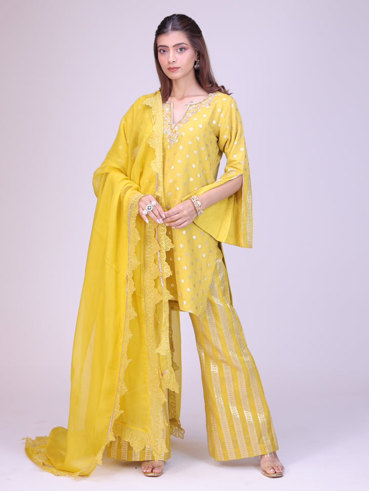 Zehra Kurta sharara set