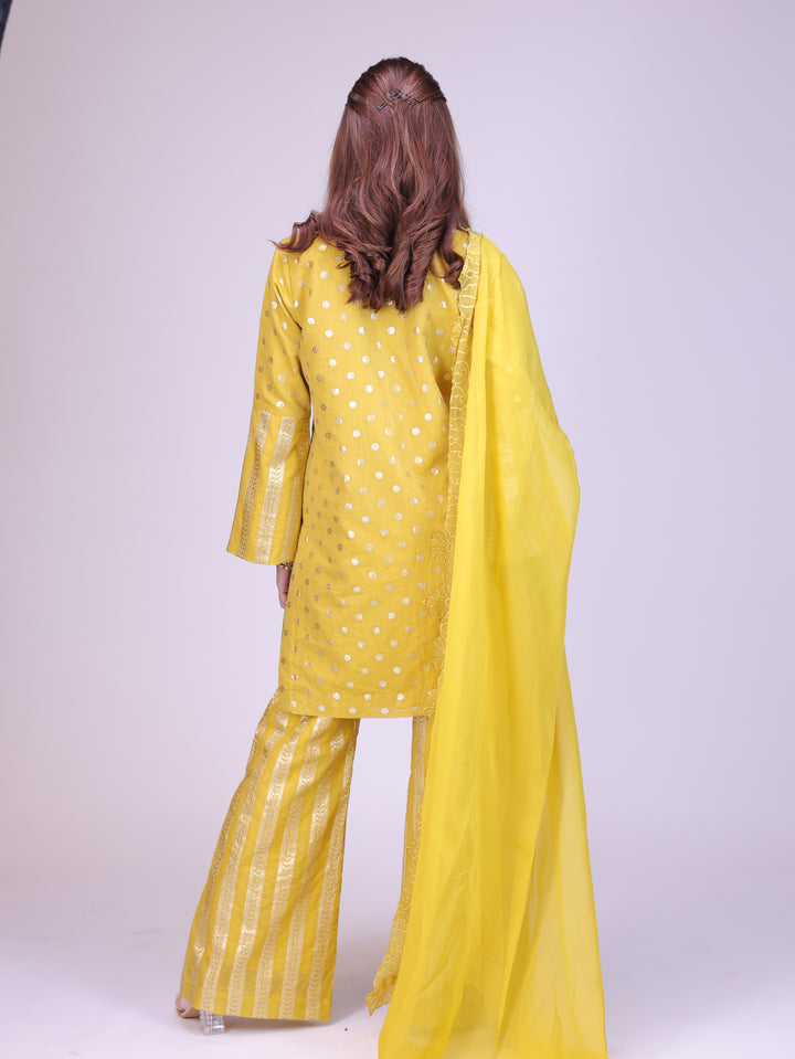 Zehra Kurta sharara set