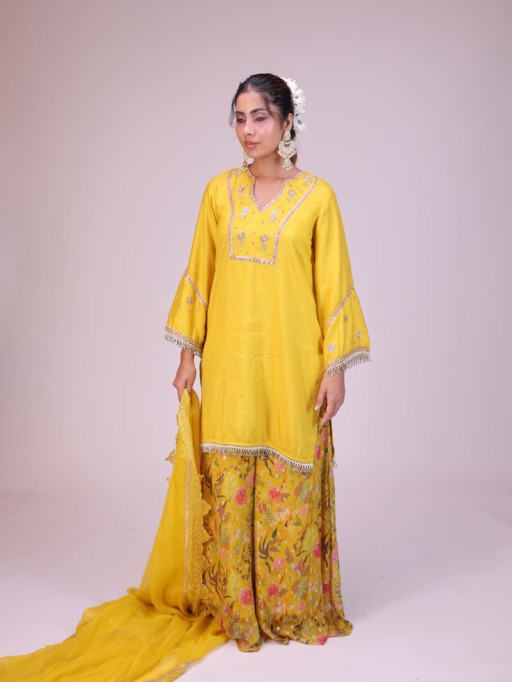 Shama Kurta sharara set
