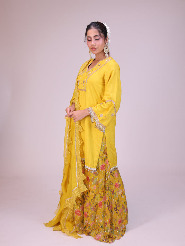 Shama Kurta sharara set